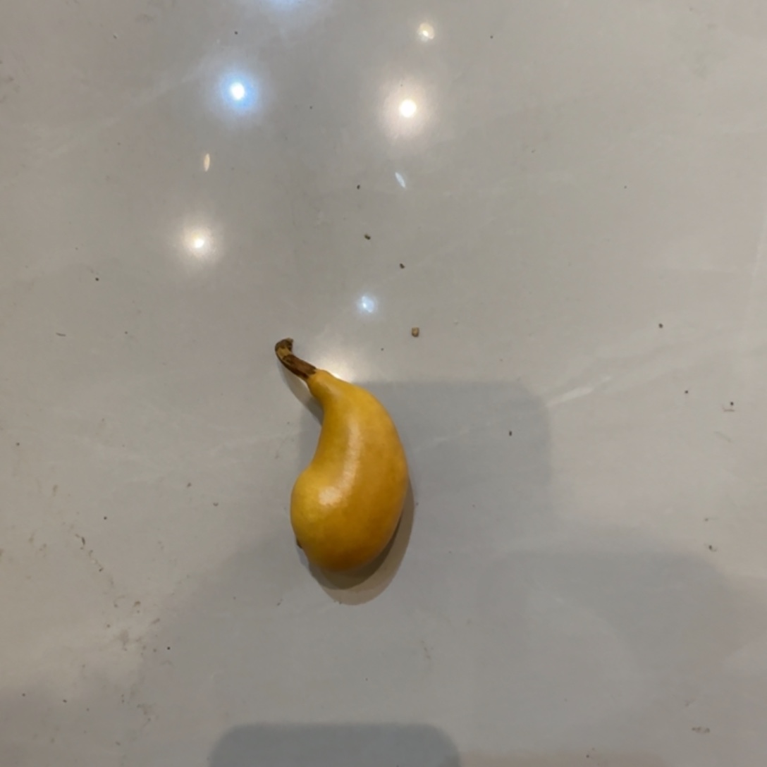 海***燕哈哈哈哈哈哈哈葫芦