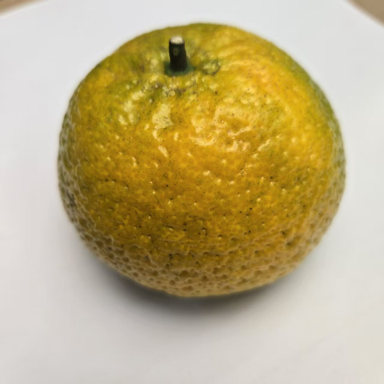 2025梅江塞口围鲜果5斤新会陈皮