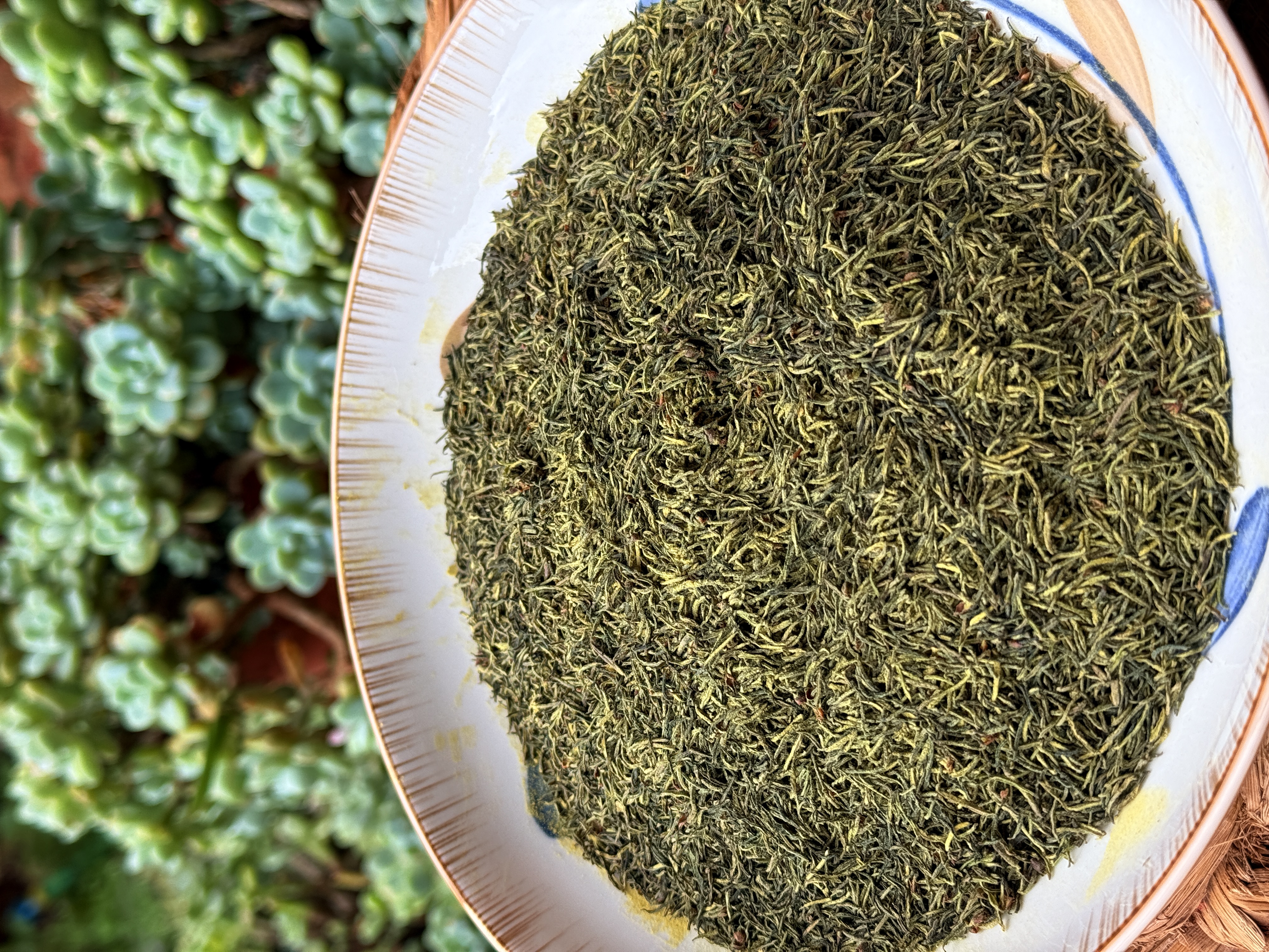 【陈博士高山精选】英雄蕊