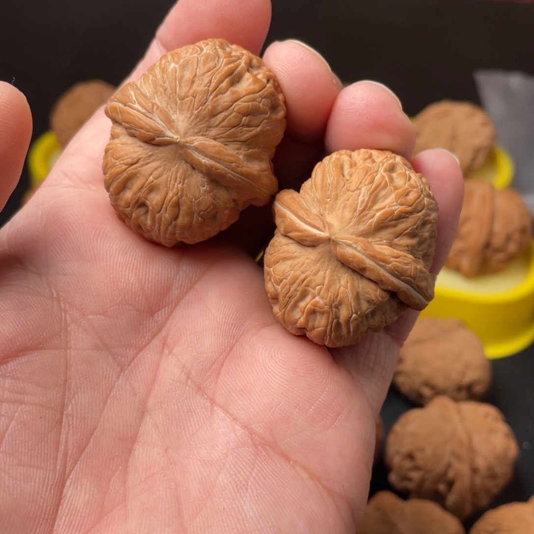 核桃黄*核农文玩核桃元宝