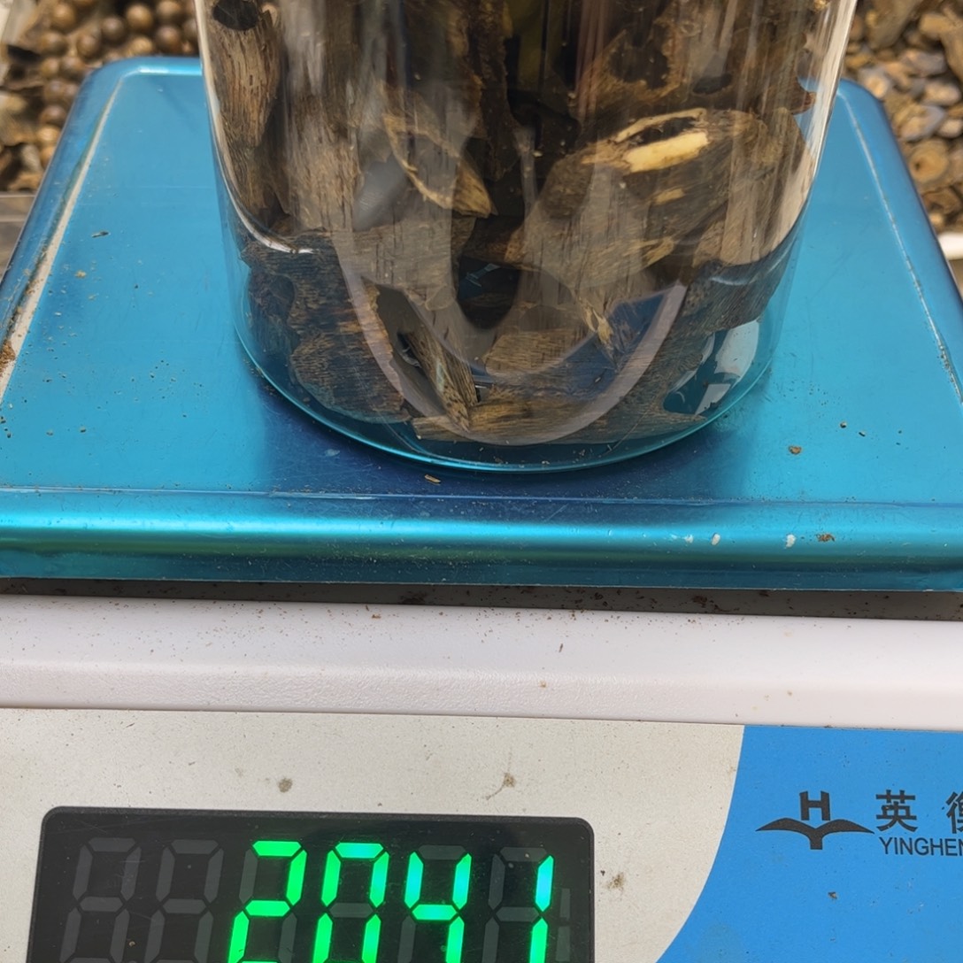 平***衡沉香沉香碎屑红骨凹身树块料200克