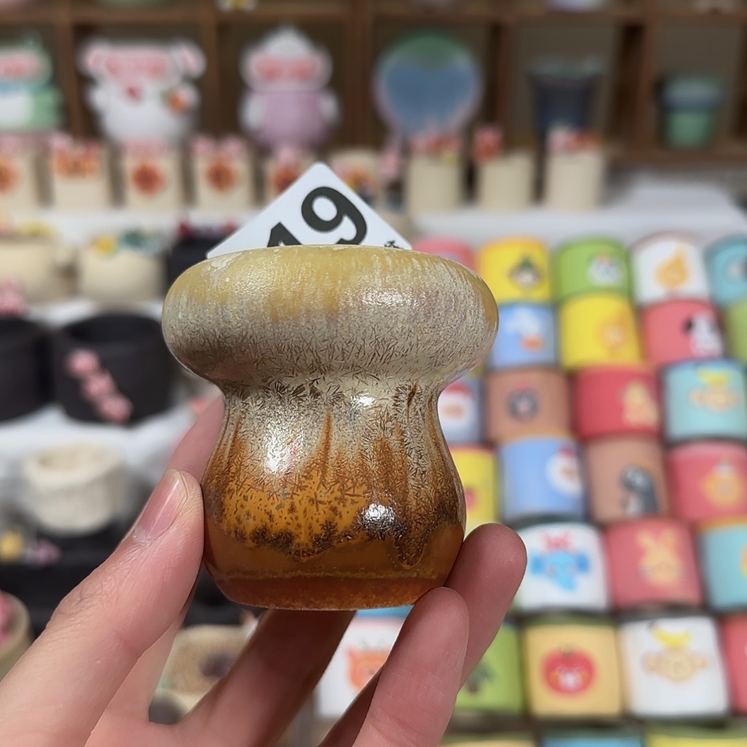 219 口4 默认微瑕 花盆