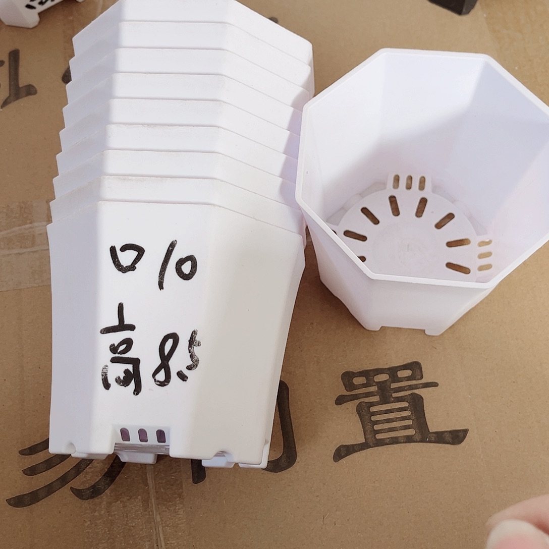 树脂加厚口10方八角白色盆10个无托