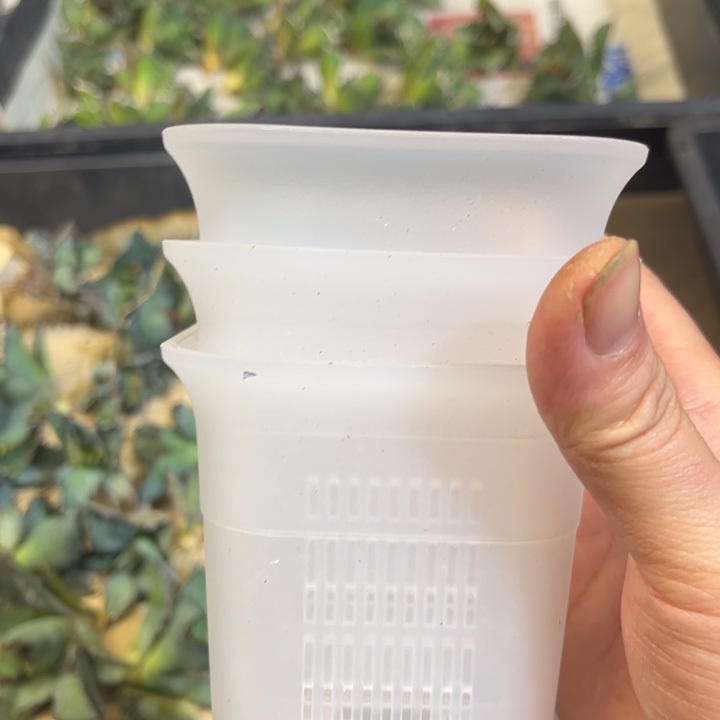 3个呼吸盆块根多肉仙人球