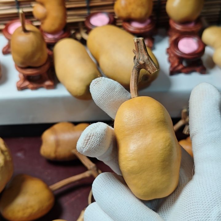 朱***璋精品土豆葫芦一物一拍