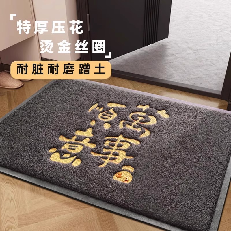 高级感防滑入户门丝圈地垫进门玄关门口蹭脚除尘地毯门外门垫