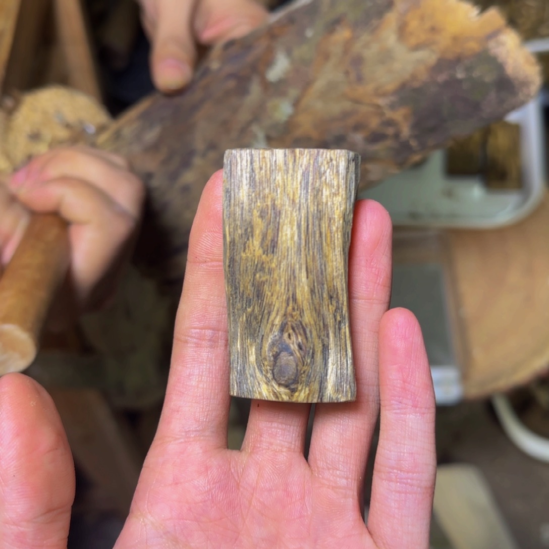 金***传沉香金莎叶牌子发一份