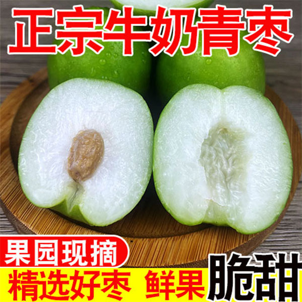 云南牛奶大青枣新鲜应季水果整箱批发现摘多汁贵妃蜜冬苹果脆甜枣