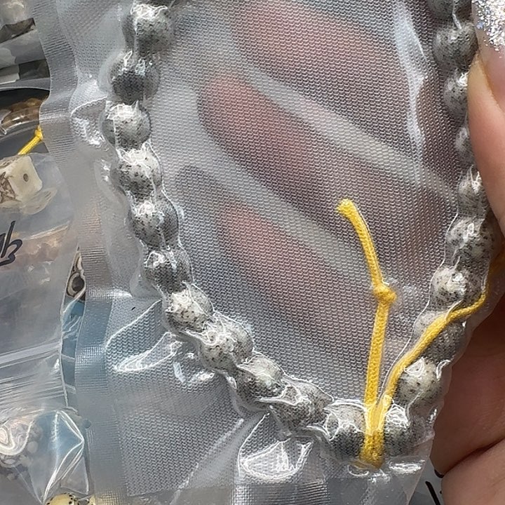 星月菩提手串181入门星月菩提0.9圆手持