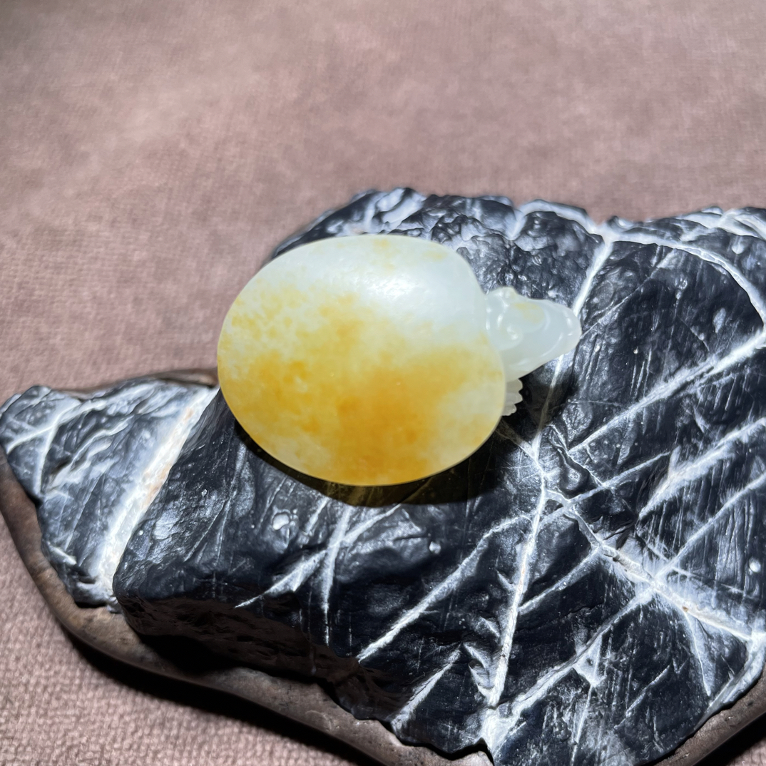 新疆和田玉【小龙龟】