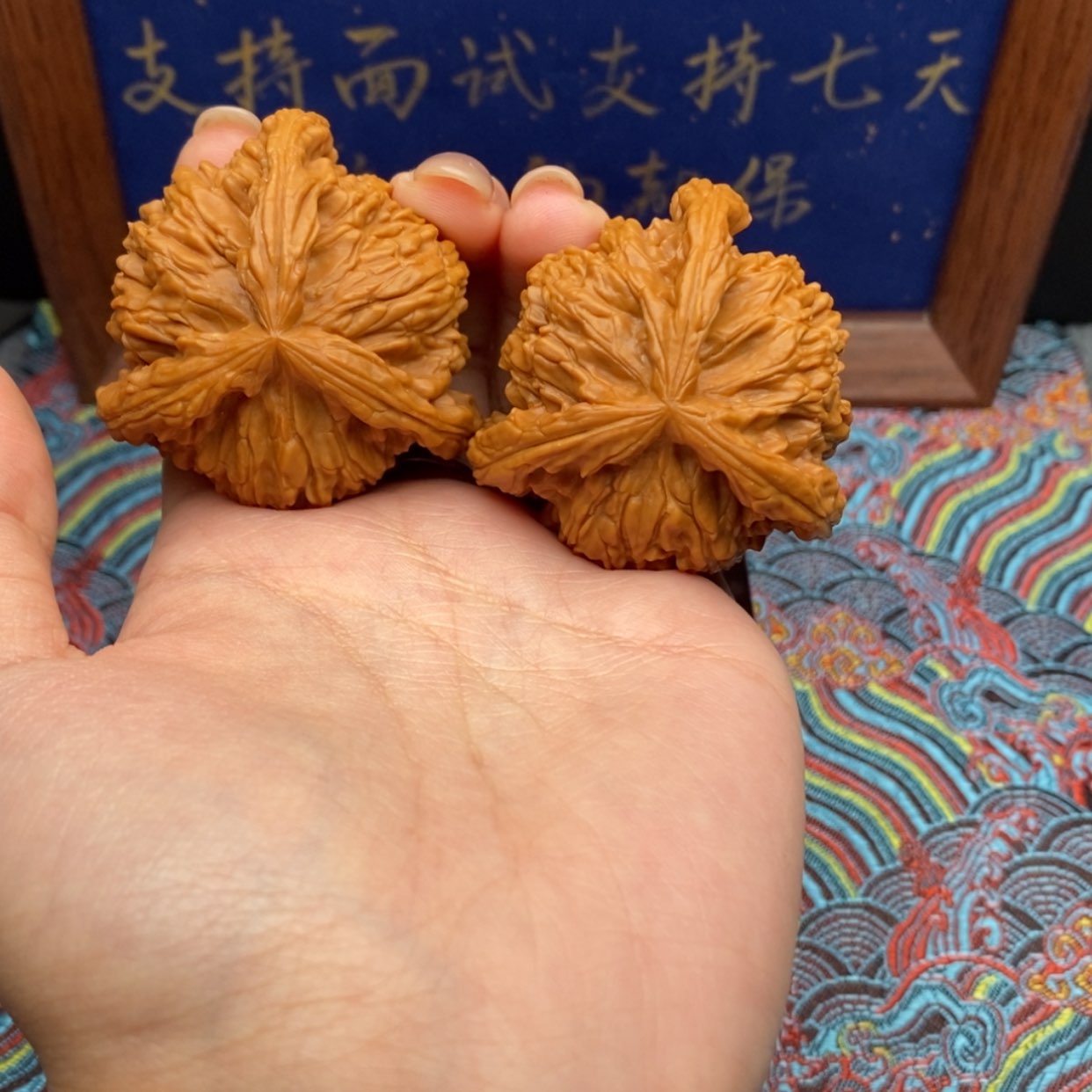 【闪购商品】大****?白狮