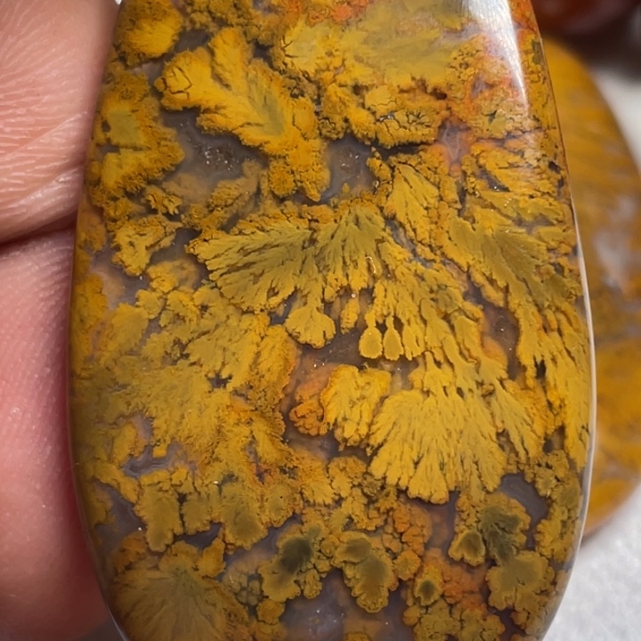 玛瑙/玉髓颈饰未镶嵌用****4