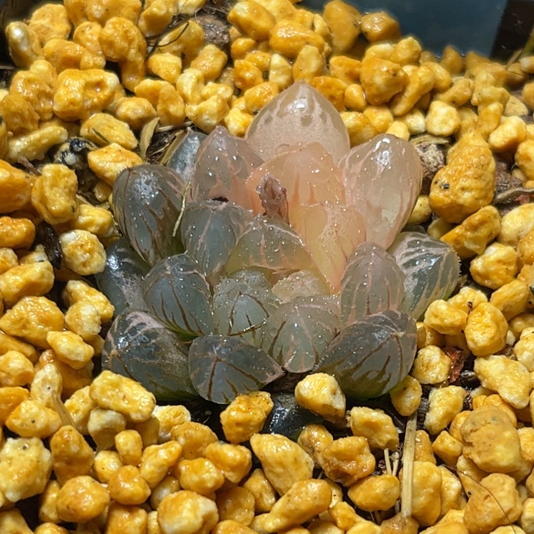 恭喜发财大吉大利0416