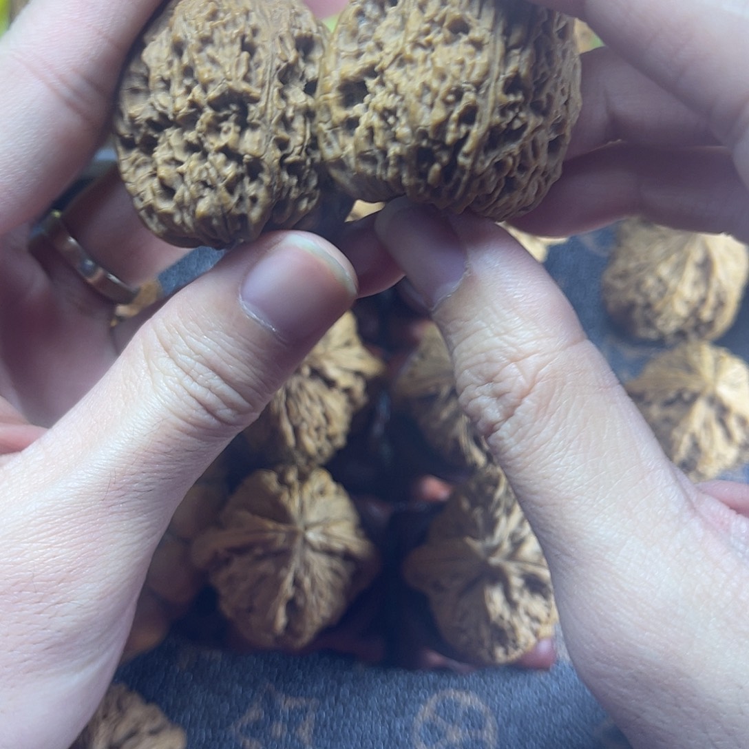 大叶紫檀（黑酸枝木类）
