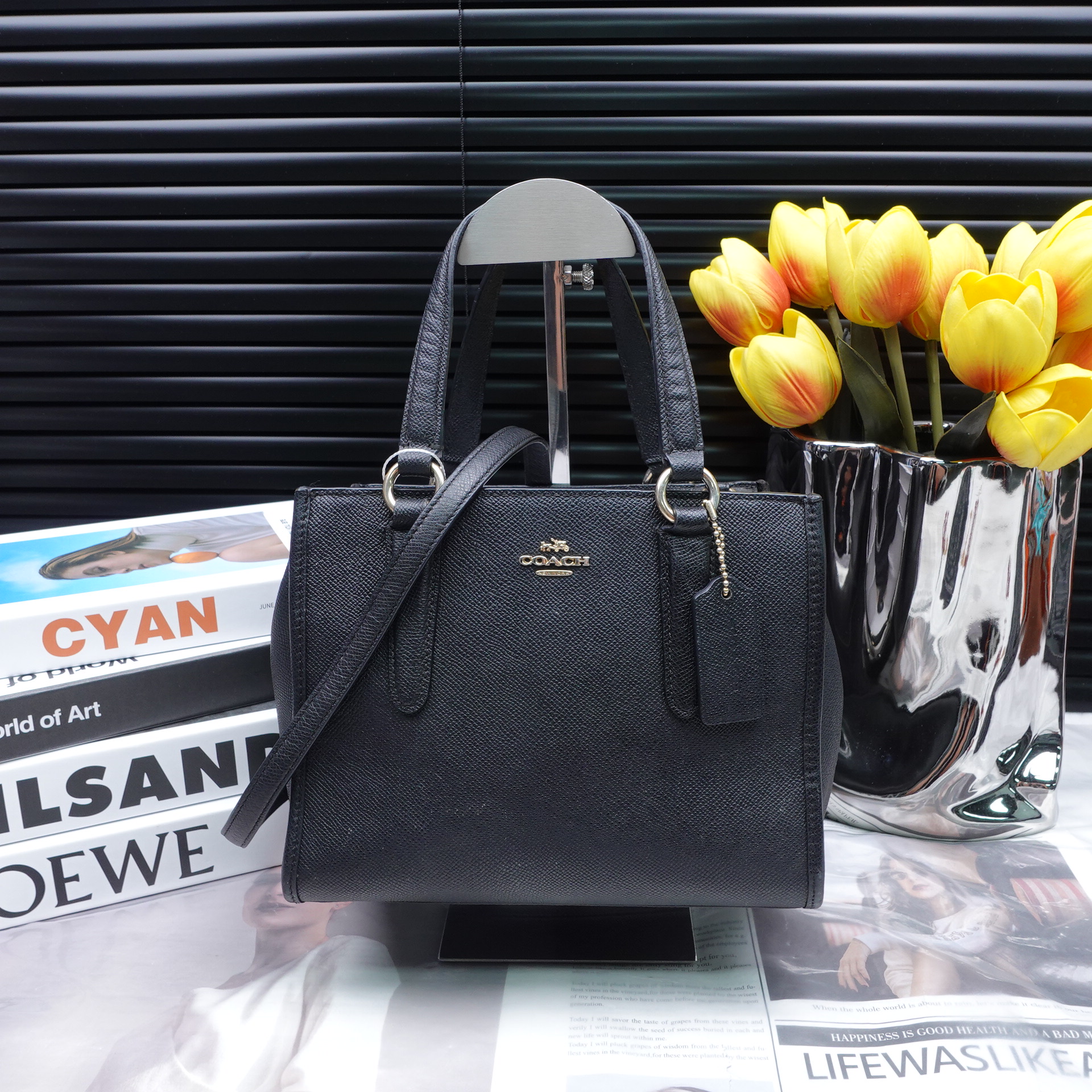 95新 COACH/蔻驰 单肩包/T10245951