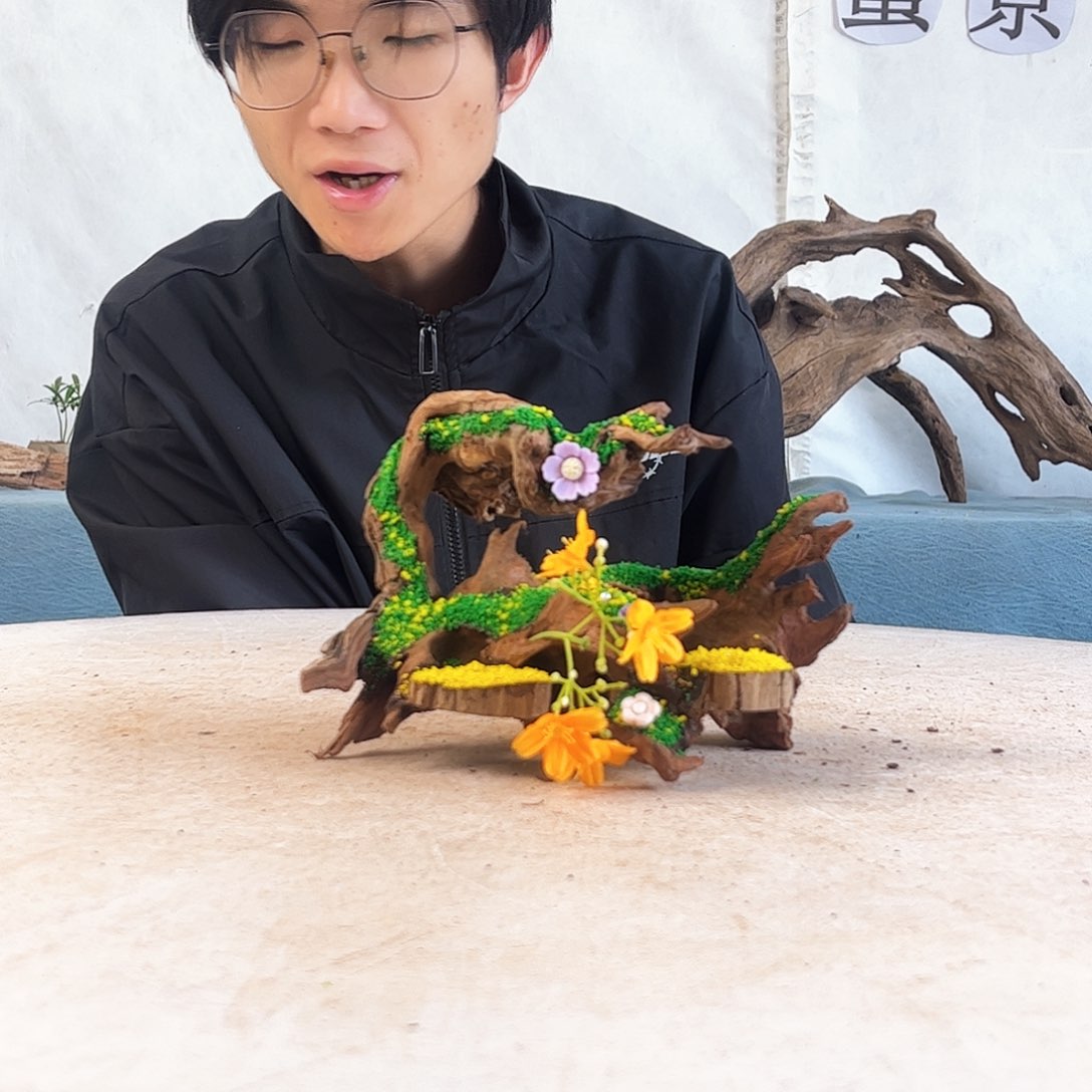 20.15.14 沉木造景爬宠造景