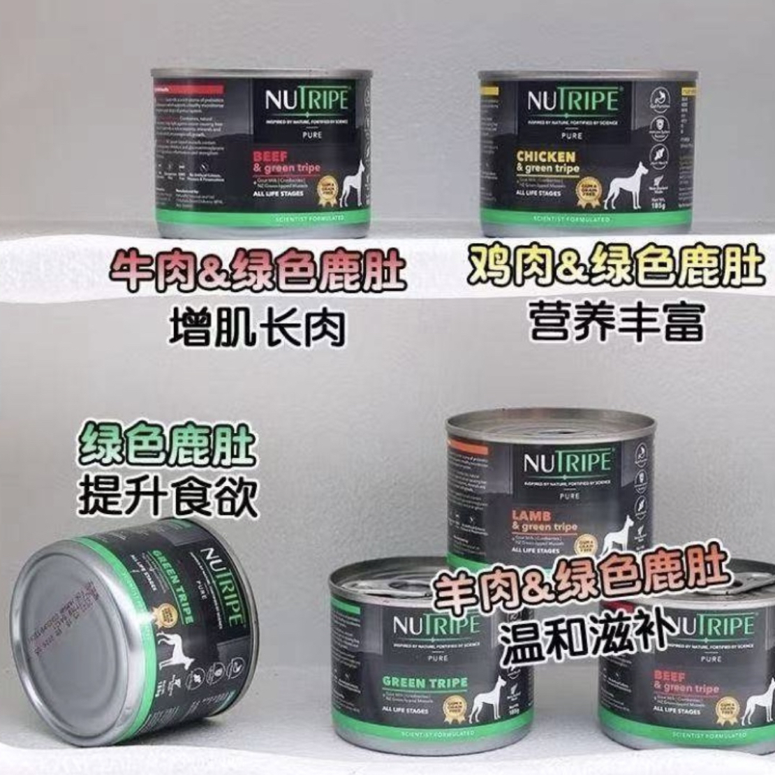 新西兰 NUTRIPE纽萃宝全期五谷犬肚罐185g