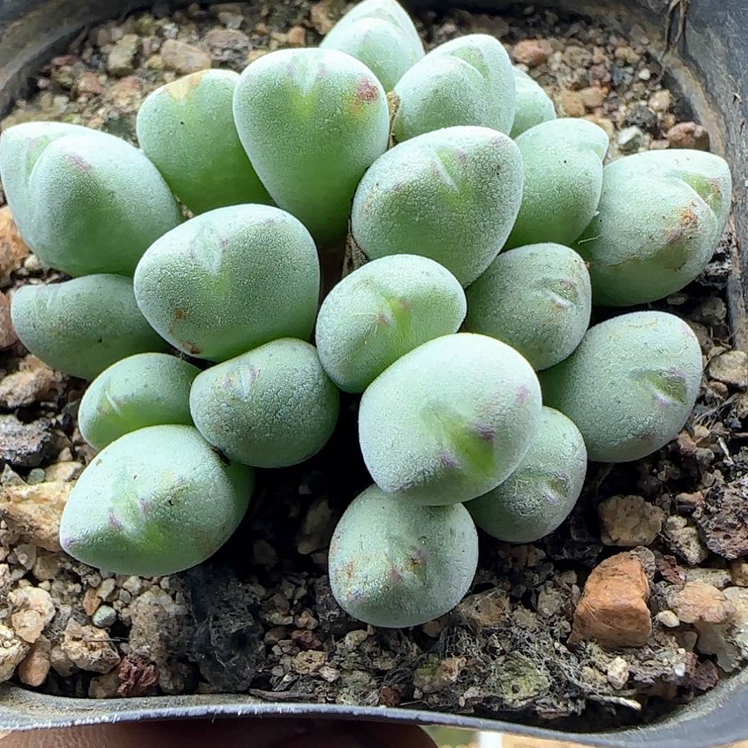 哈哈哈哈哈哈哈47587