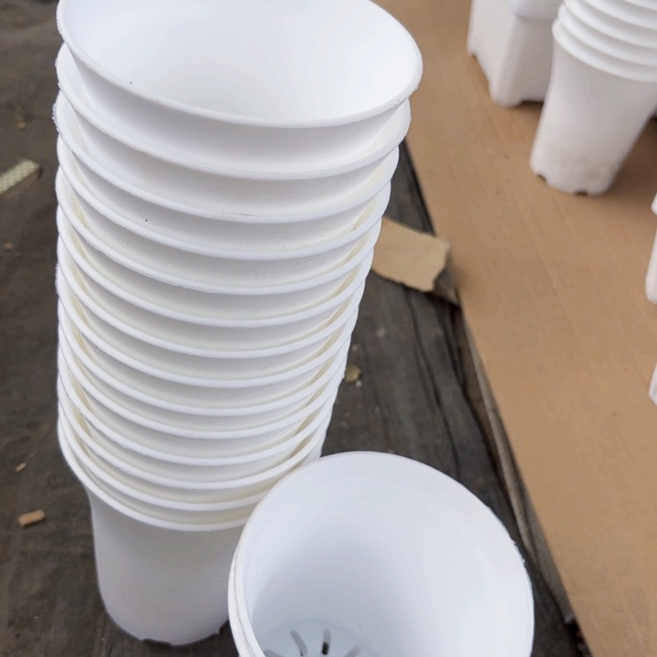 万象11公分白圆盆15个