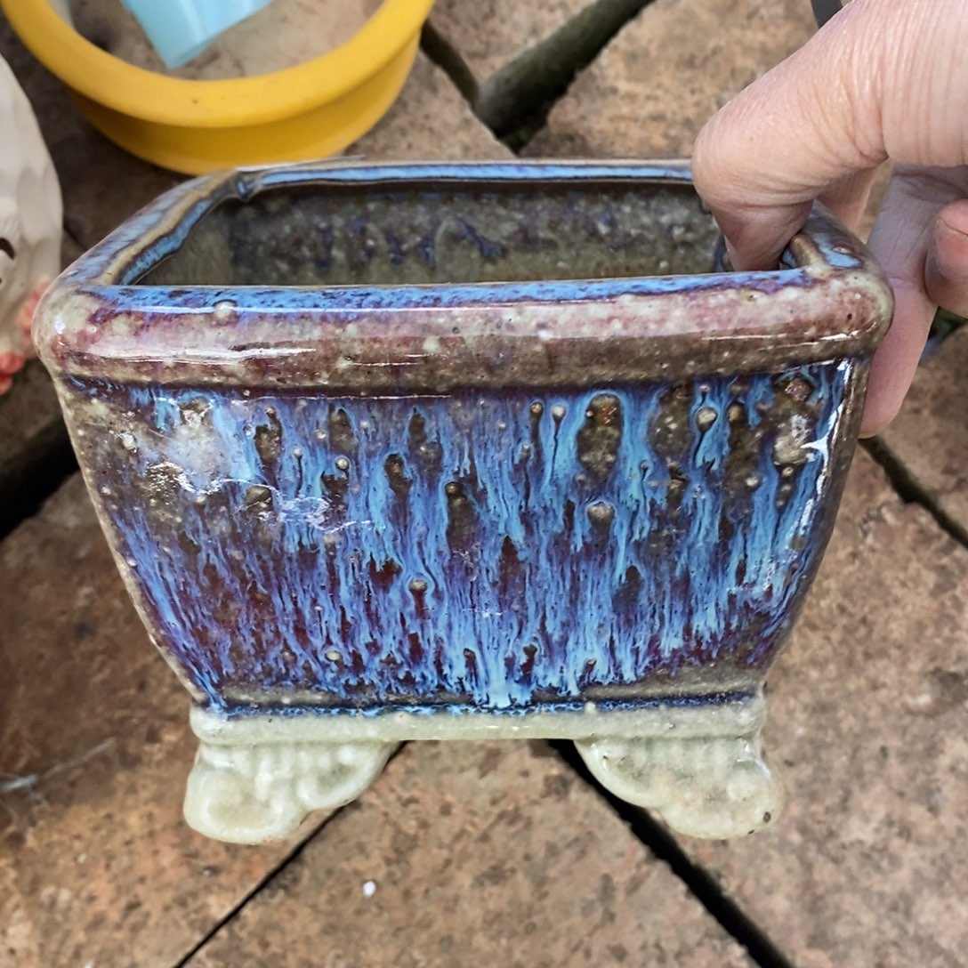 81号多肉盆口径11