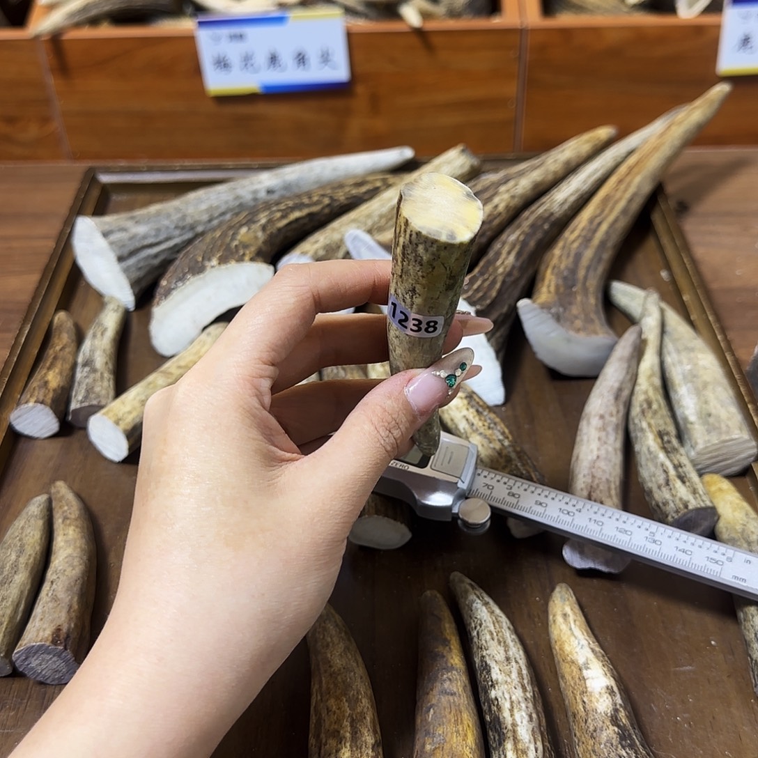 鹿骨手串/手链1238角尖