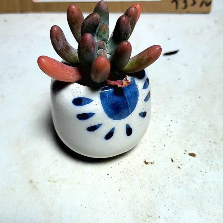 满6元包邮，乙女心俩颗