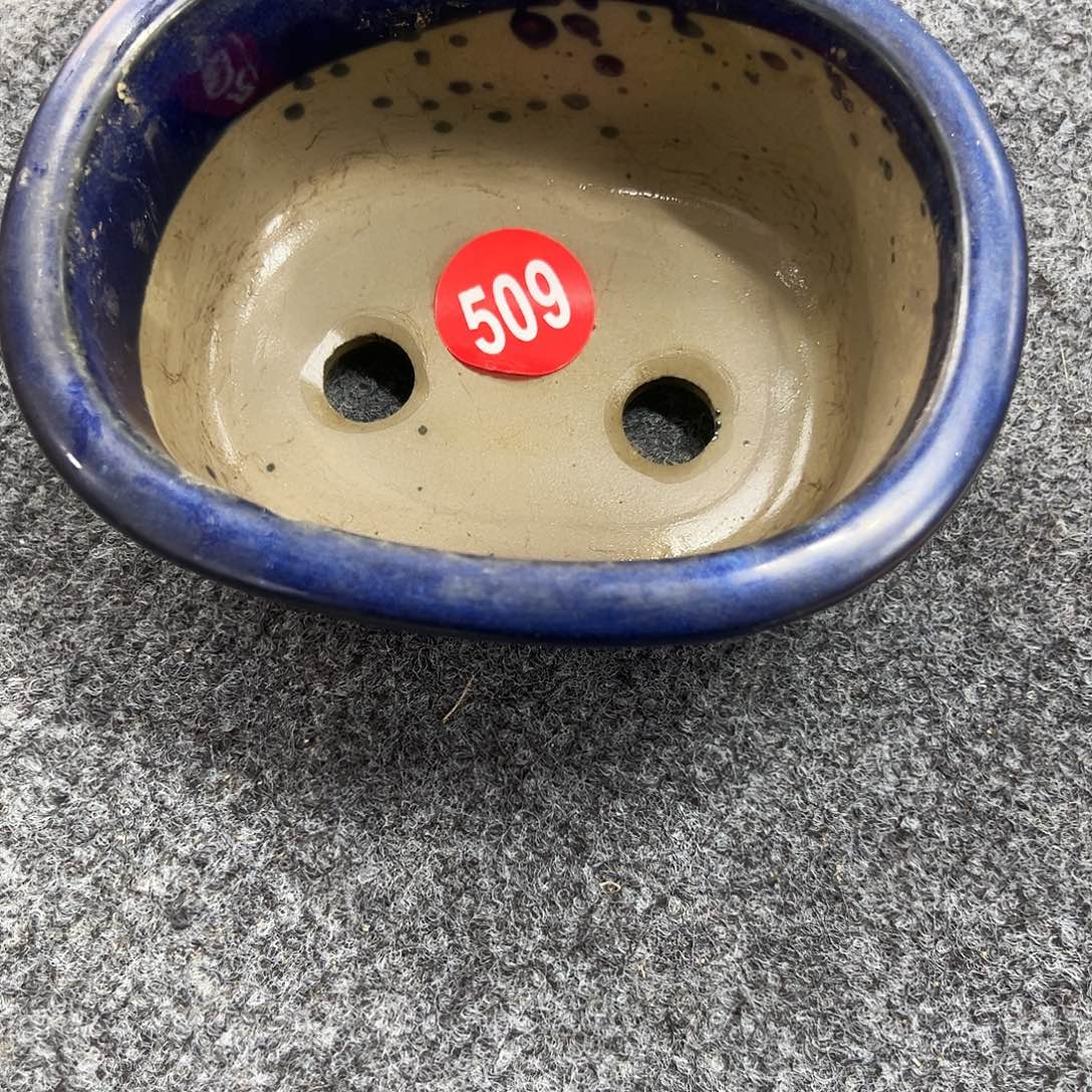 醉***侠对你的喜欢就如同这日子只增不减509