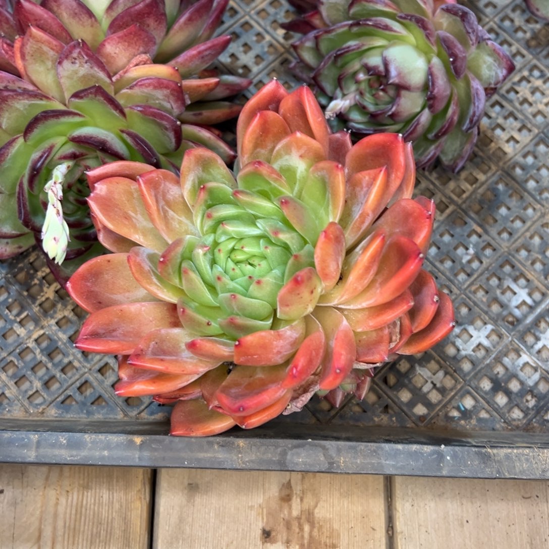 39///////////////////