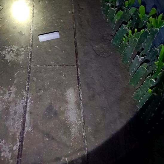 秋***人完全开放令箭何花十个叶片