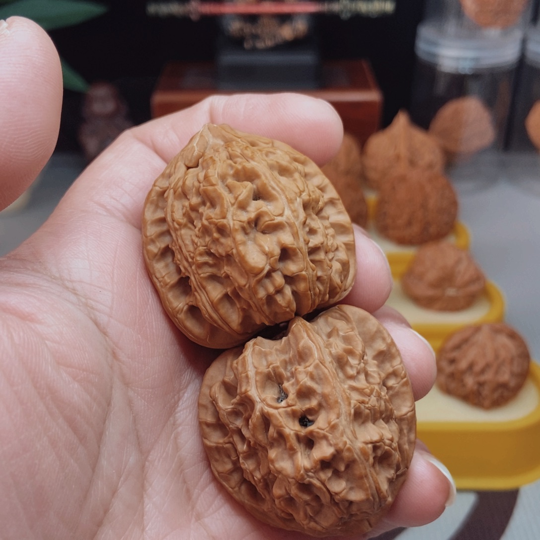 文***@福利白狮子核桃手把件！