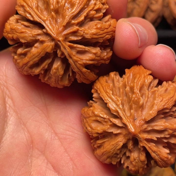 文玩核桃把件秦岭山脉核桃