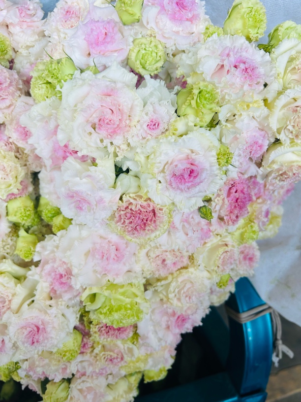 斗南玫瑰鲜花基地直发