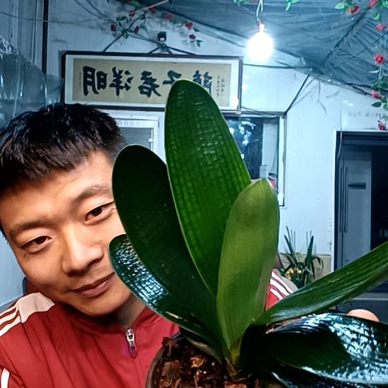 @烟花再美终是瞬间35元