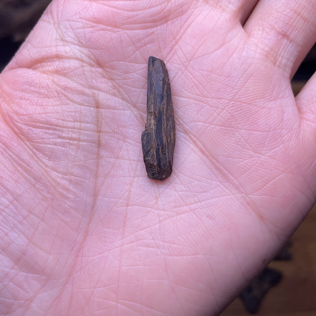 香榧木海南沉水树心油0.4克