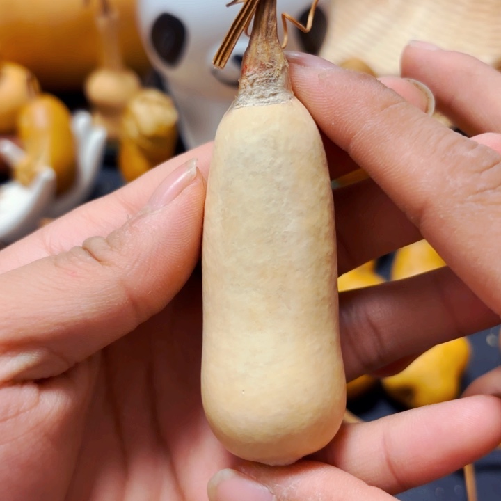 崔*o8888888888888888888888