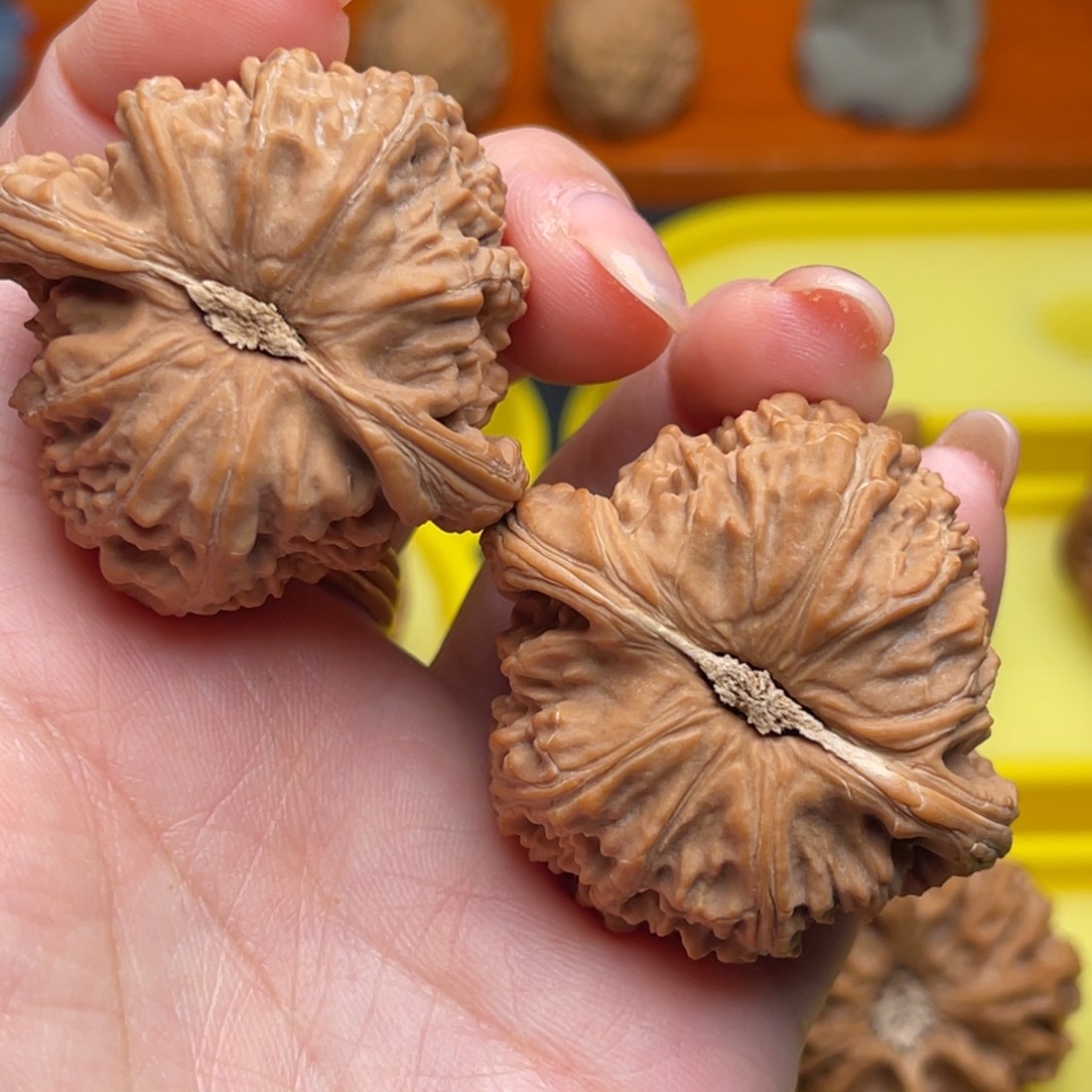 只***好文玩核桃把件43白狮子