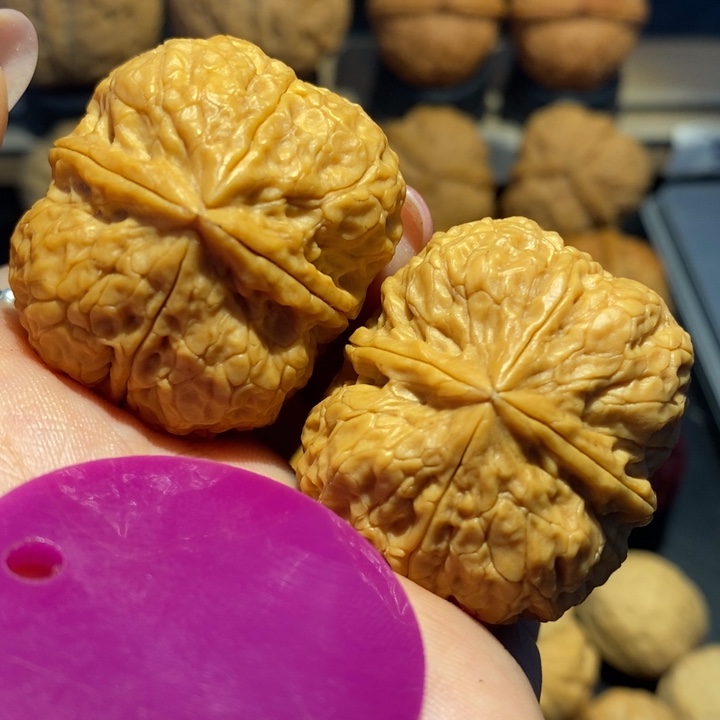 核桃四棱核桃尺寸38