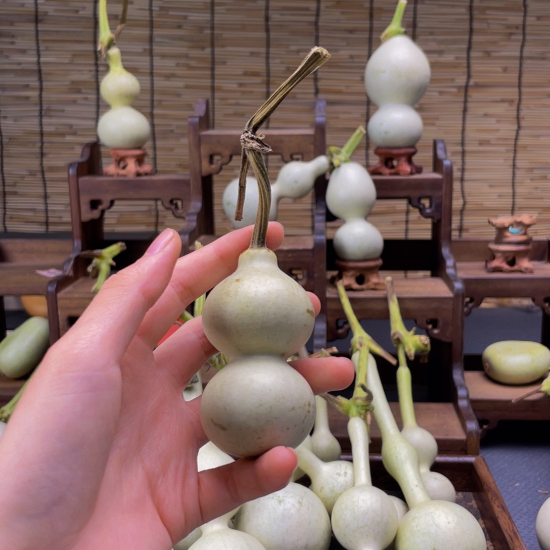 李***.我是一只小小鸟地域鬼的