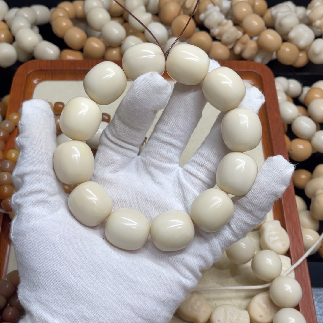 菩提根/象牙果吊坠22干磨微瑕牙果枣福利956