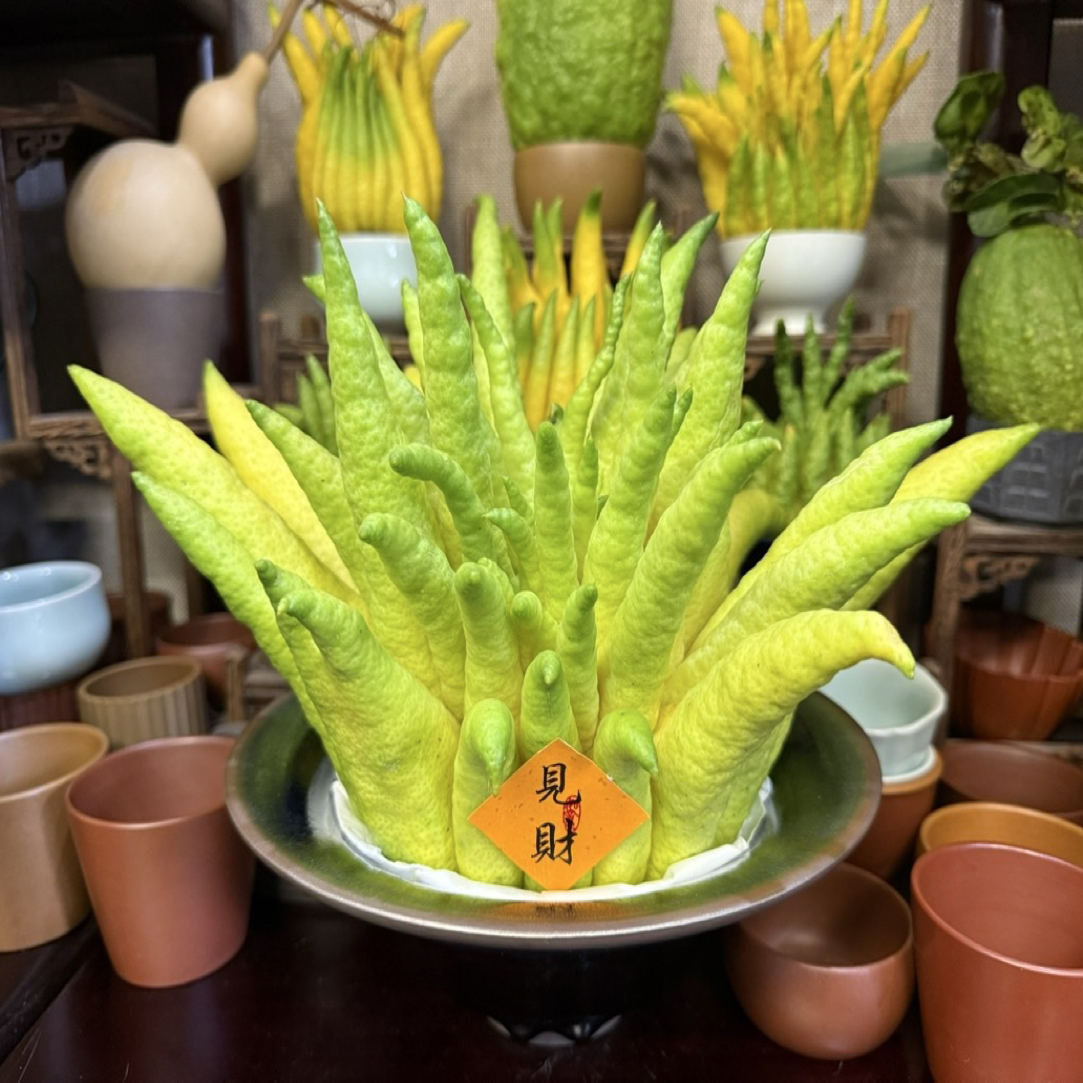 高端定制新鲜高端、品质天然香薰家用鲜花云南基地鲜切