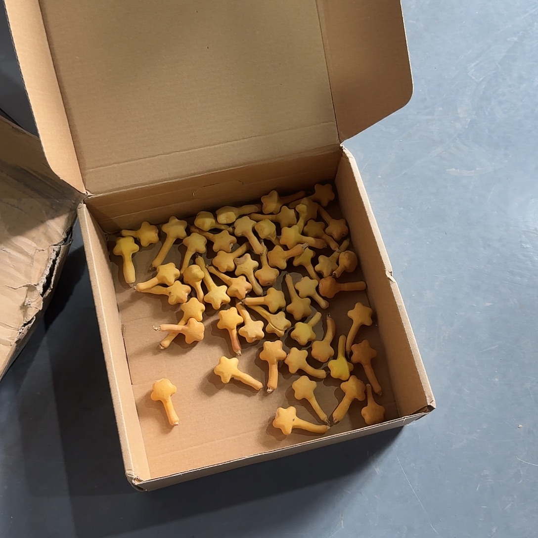 我***鱼木50个星星点点组成小