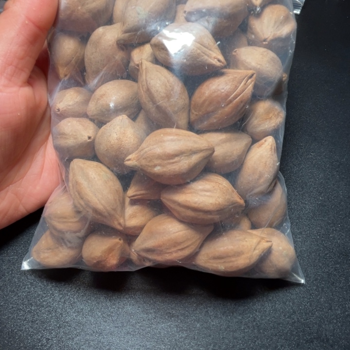 弱***浪手串/手链猪牙我是