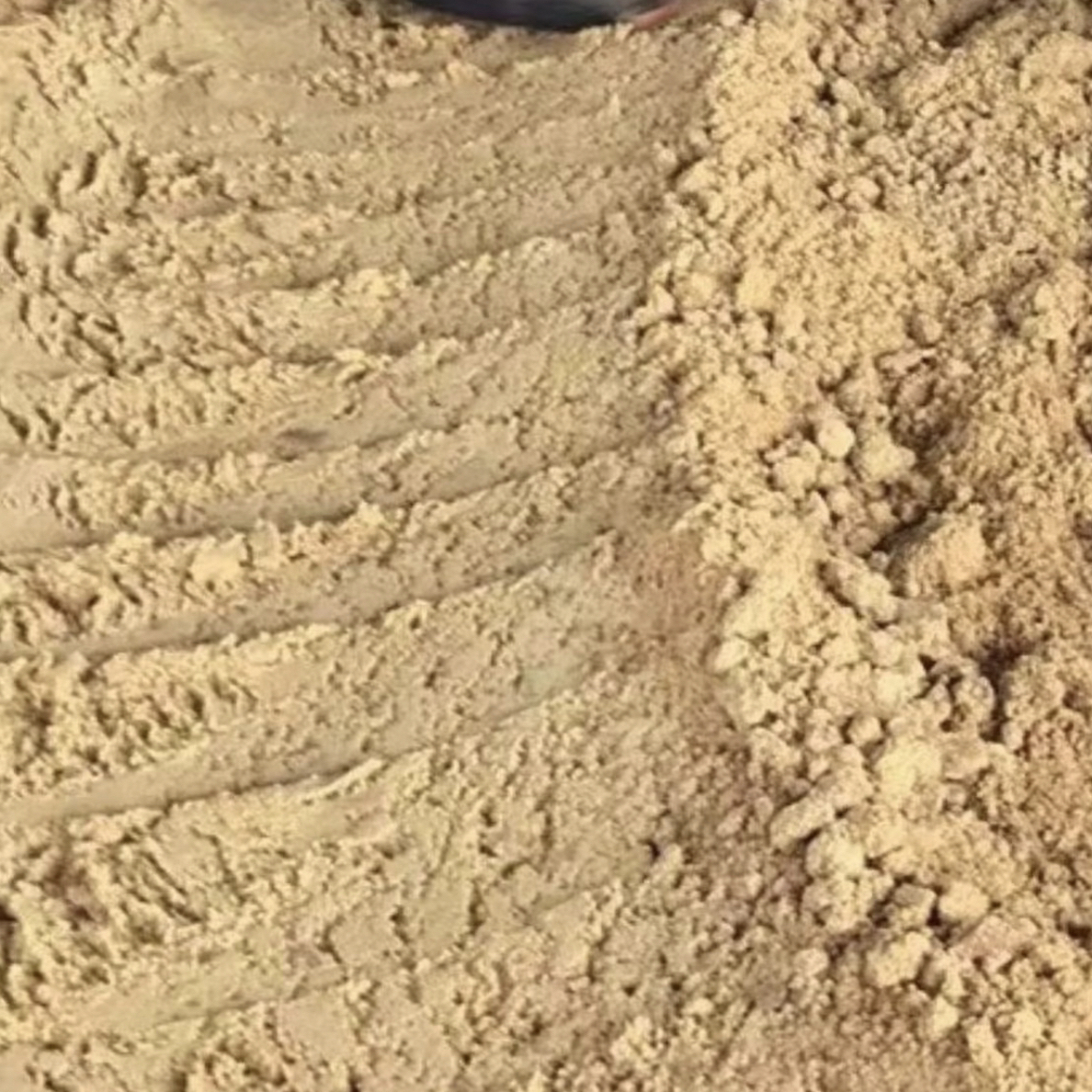 陆丰甲西甘庶正黑糖红糖无沙农产品