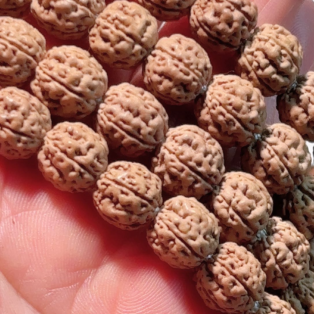 缘***灭印度尼西亚小金刚古树盘龙长串9加