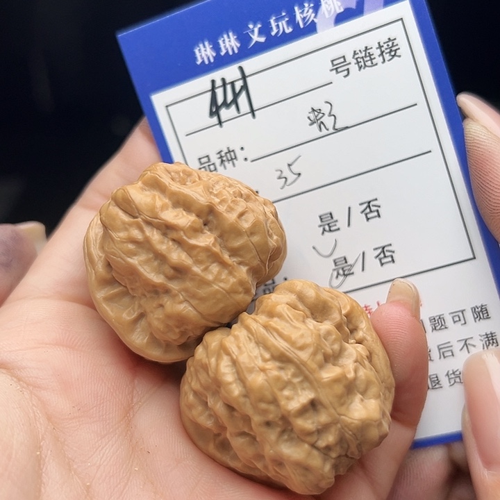 文玩核桃吊坠核桃树441