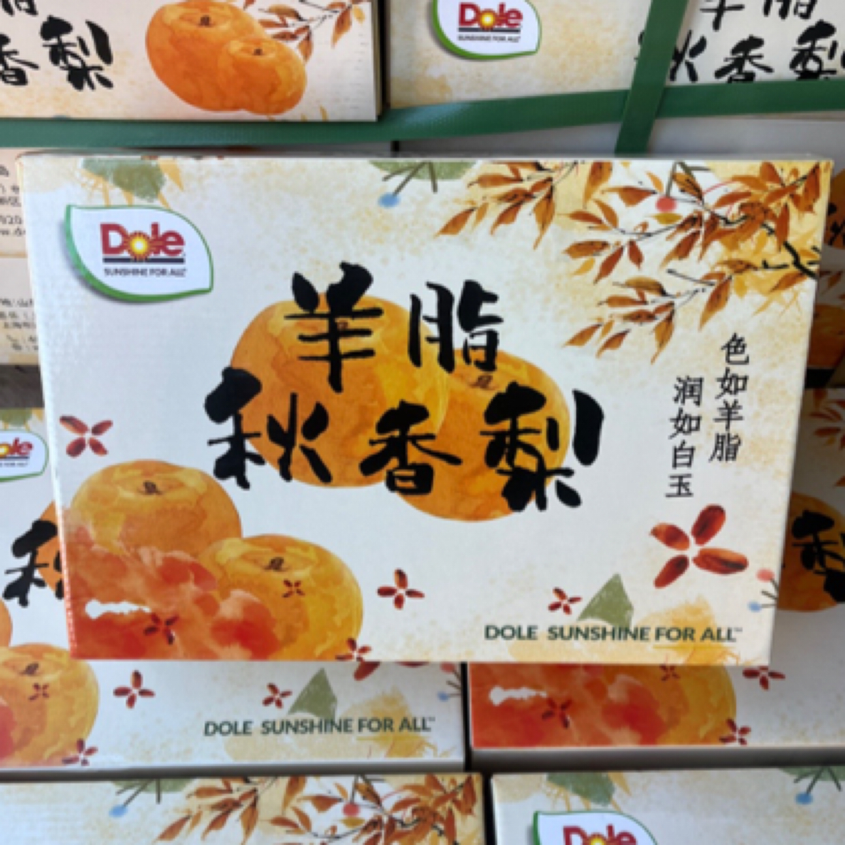 都乐羊脂秋香梨礼盒5.5斤毛重