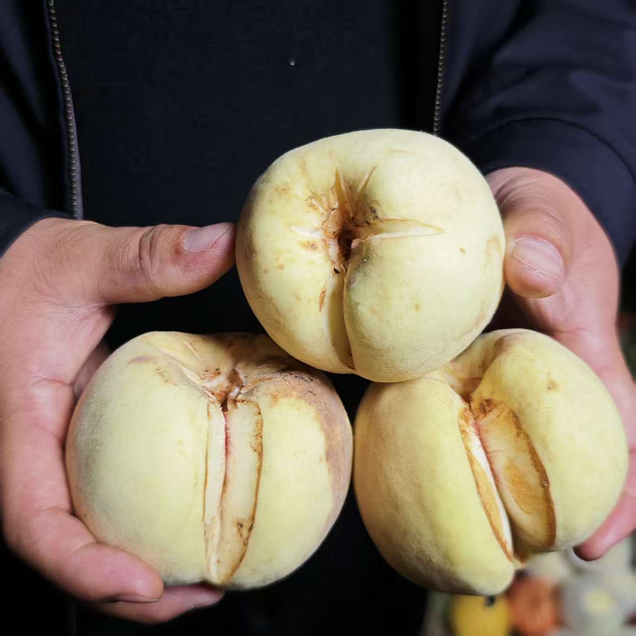 【书记助农】爆炸桃新鲜采摘农家自种冬桃丑桃香甜多汁当季水果