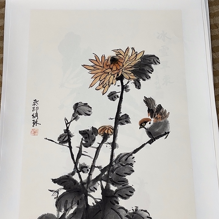 国画花鸟等多种鸟类的栖息地和栖息地