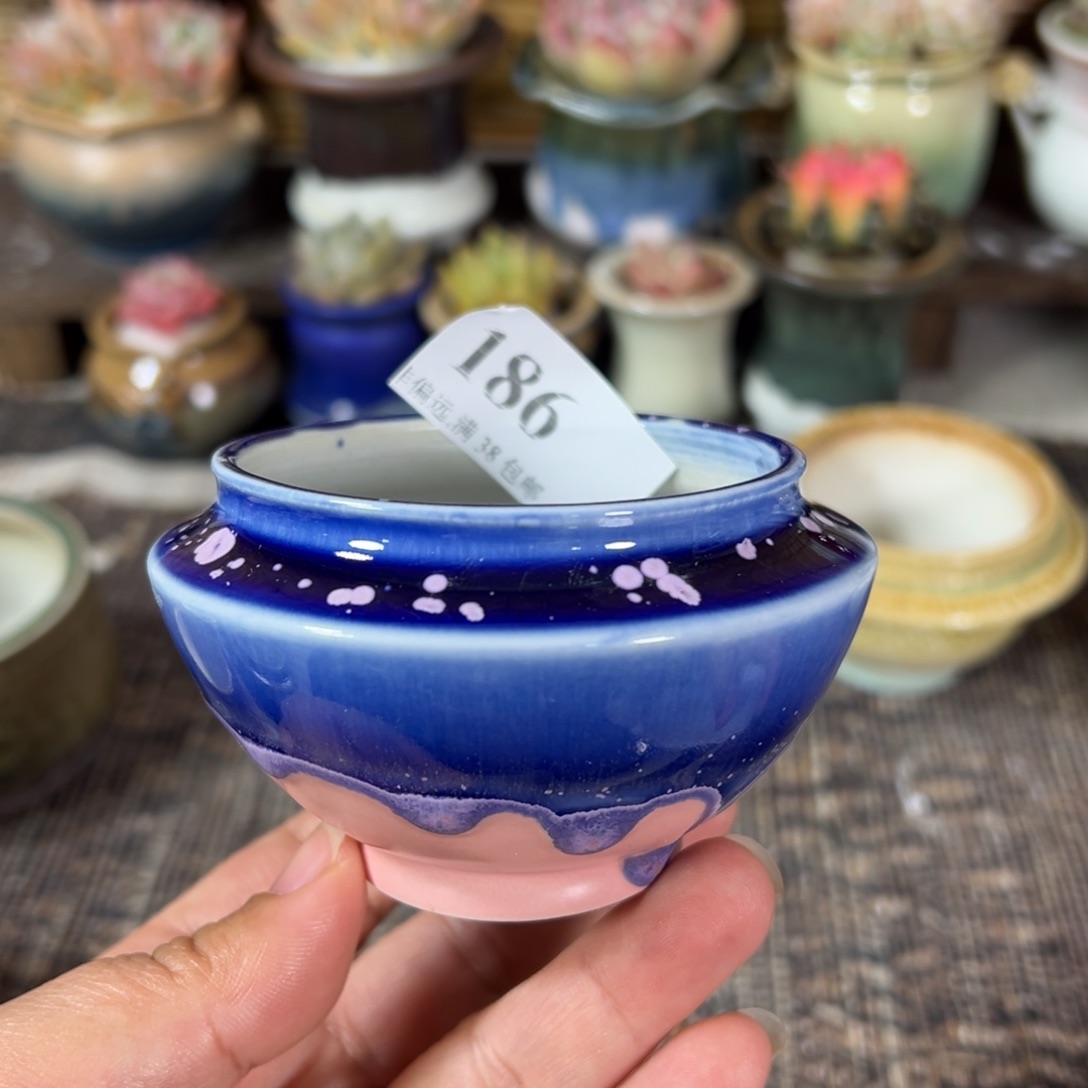 红陶景德镇手工花盆