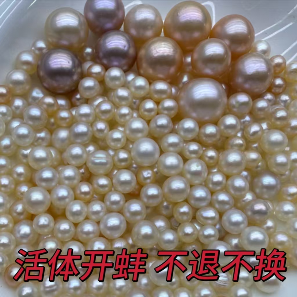 【旭旭】女神AK蚌 可DIY成品